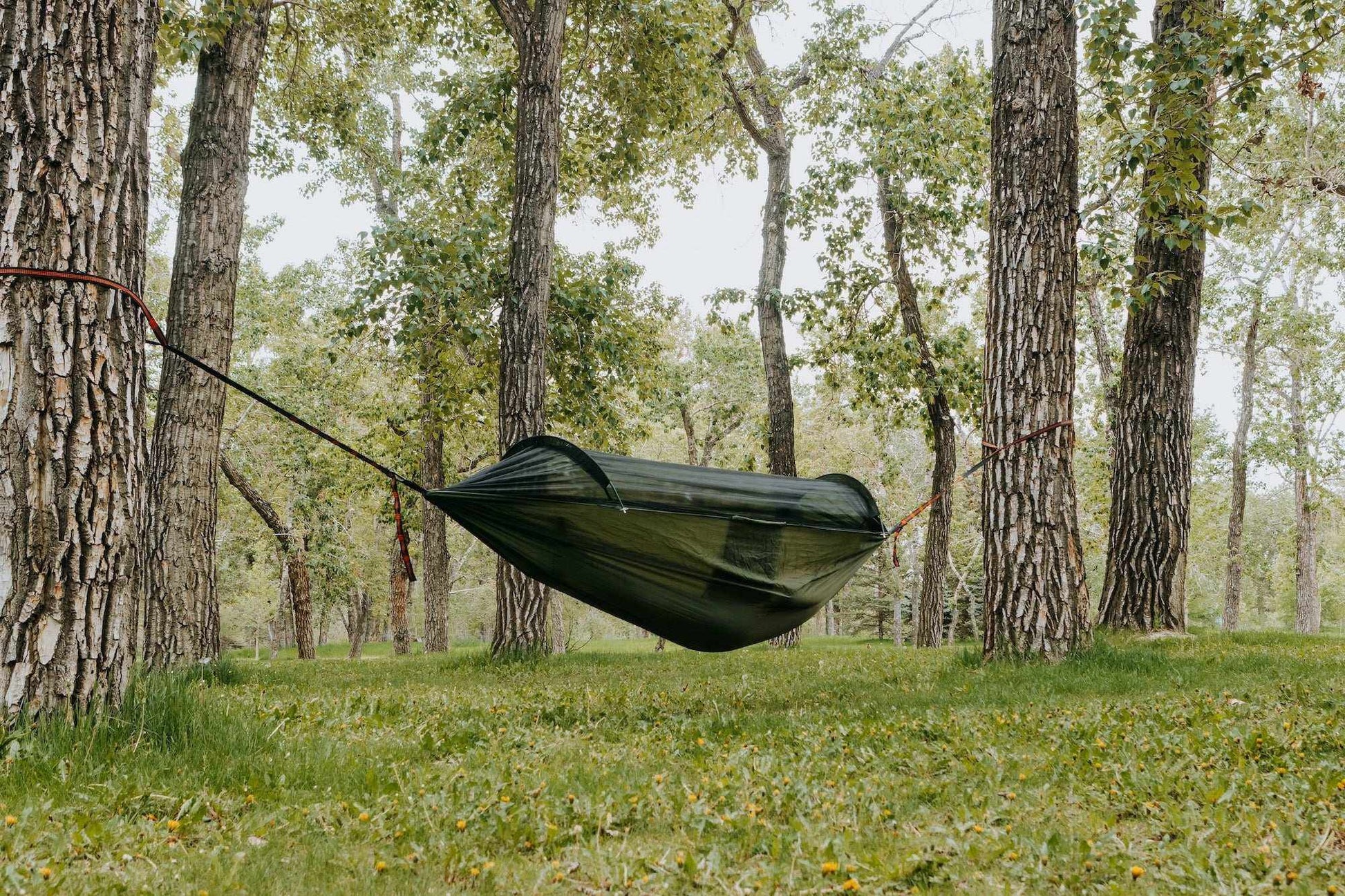 Grey Erebus camping hammock with mosquito net for comfortable outdoor relaxation in nature
